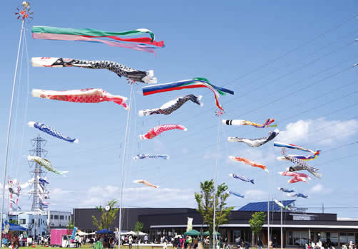写真　寺山公園の鯉のぼり