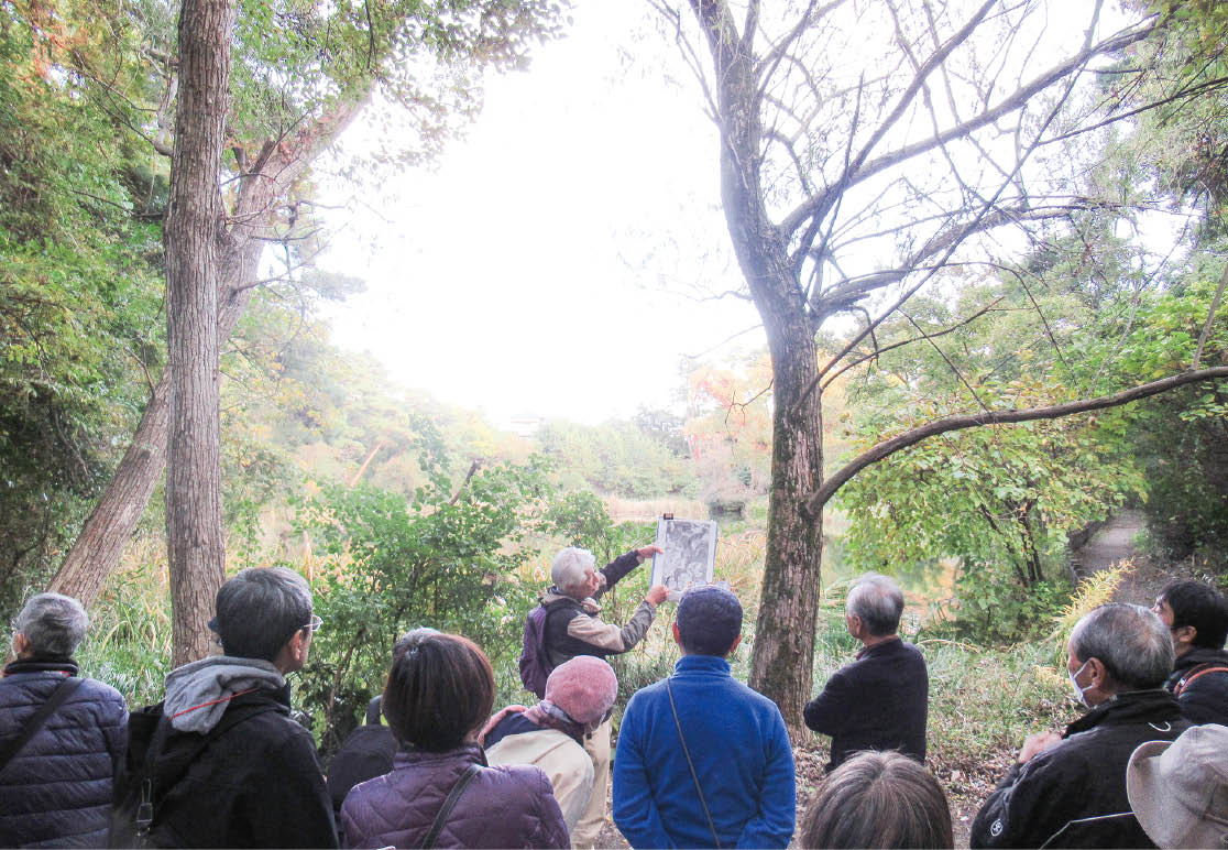 写真　じゅんさい池でのフィールドワーク