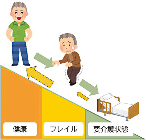 健康⇔フレイル⇔要介護状態　イラスト