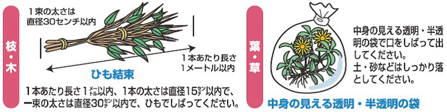「枝葉・草」の収集　解説図