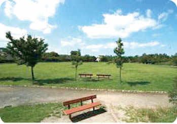 写真　山の下海浜公園