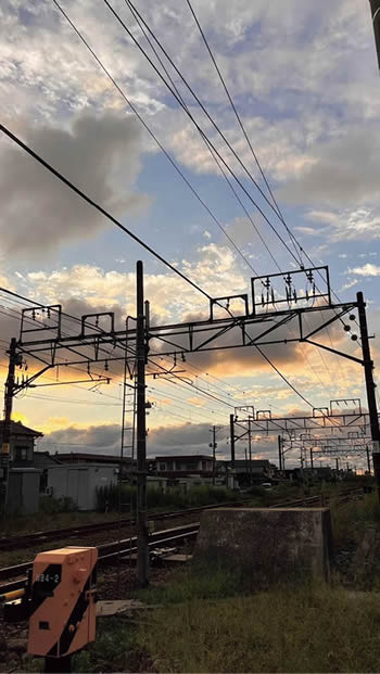 作品写真　夕暮れが目に染みるぜ