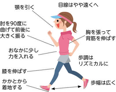 目線はやや遠くへ｜顎を引く｜胸を張って背筋を伸ばす｜肘を90度に曲げて前後に大きく振る｜おなかに少し力を入れる｜歩調はリズミカルに｜膝を伸ばす｜歩幅は広く｜かかとから着地する