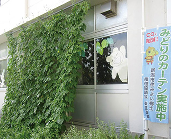 みどりのカーテン事業