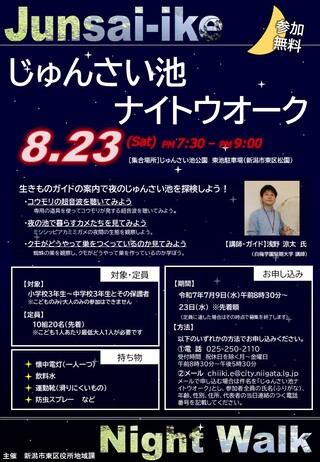 ナイトウオークチラシ