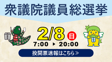 衆議院議員総選挙