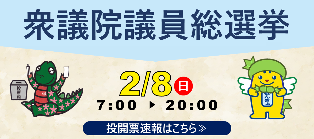 衆議院議員総選挙