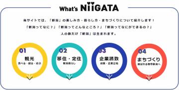 シティプロモーションページ「What's NiiGATA」（ホワッツ ニイガタ）のイメージ画像