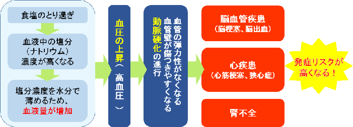 食塩の取りすぎは脳血管疾患や心疾患、腎不全の発症リスクを高めます。