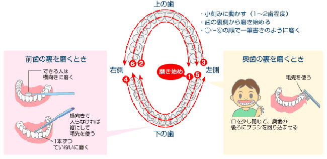 歯の磨き方