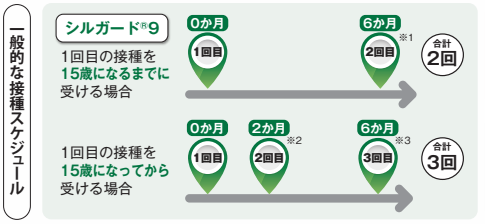 HPVワクチン（シルガード9）の接種スケジュールの図