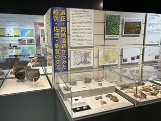 企画展示の写真