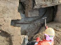 茶院A遺跡2023年調査丸木弓出土状況