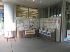 展示の様子