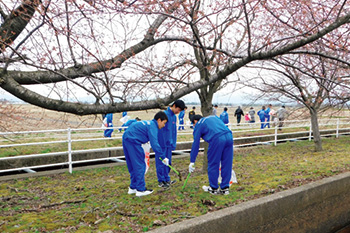 早通中学校　桜並木清掃

