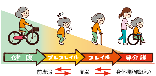 健康→プレフレイル・前虚弱→フレイル・虚弱→要介護・身体機能障がい