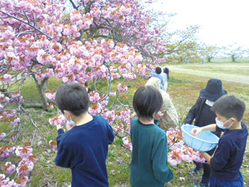 豊栄南小学校