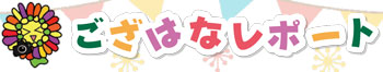 ござはなレポート