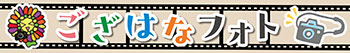 タイトル