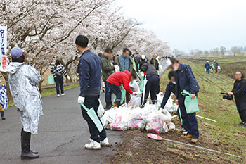 桜の下で福島潟クリーン作戦　風景