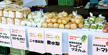 農産物販売　風景