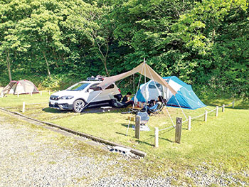 海辺の森キャンプ場　風景