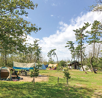 海辺の森キャンプ場　風景
