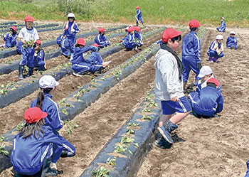 木崎小学校　取組み風景