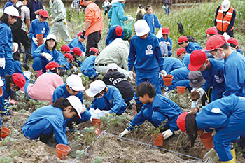 アキグミ植栽活動　風景