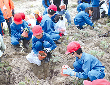 アキグミ植栽　風景