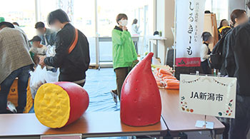 しるきーもマルシェ　風景