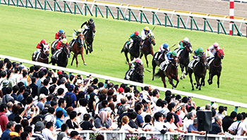 新潟競馬場　風景