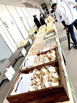 新潟競馬場　風景