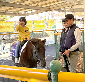 馬と触れ合える体験　風景