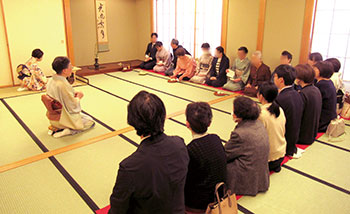 北区市民茶会(4月)　風景