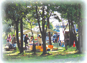 写真　昨年の様子