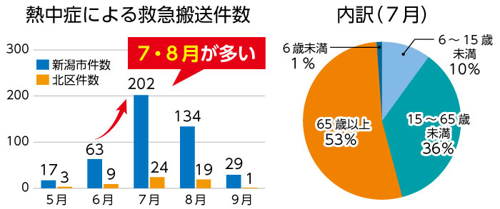 熱中症による救急搬送件数　内訳(7月)
