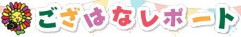 タイトル