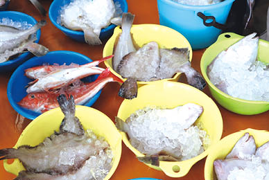 朝市での鮮魚販売の様子