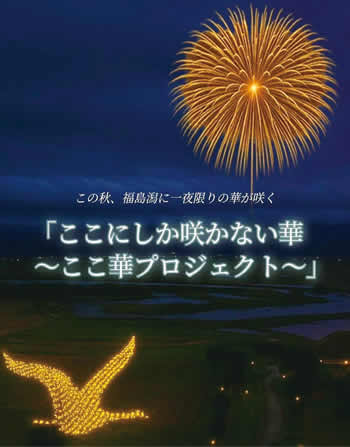 この秋、福島潟に一夜限りの花が咲く　ここにしか咲かない華　ここ華プロジェクト