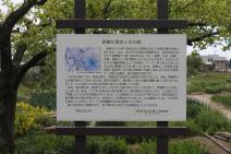 新井郷川の川跡の説明板