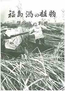 福島潟の植物 習俗への利用の表紙の画像