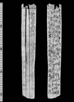 駒首潟遺跡で発見された習書木簡の画像