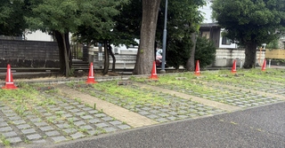 「三・九の市」駐車場