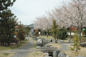 亀田排水路公園