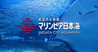 新潟市水族館マリンピア日本海