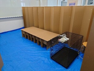 段ボールベッド設置状況