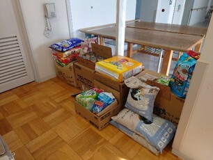 ペット避難対応状況