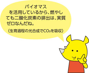 バイオマスを活用しているから、燃やしても二酸化炭素の排出は、実質ゼロなんだね。（生育過程の光合成でCO2を吸収）