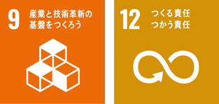 9 産業と技術革新の基盤をつくろう / 12 つくる責任、つかう責任